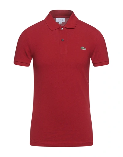Shop Lacoste Polo Shirts In Brick Red
