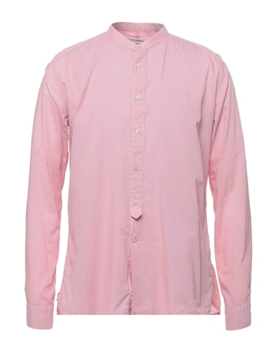 Shop Tintoria Mattei 954 Man Shirt Pink Size 15 ½ Cotton