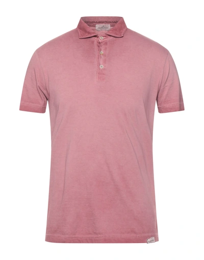 Shop Brooksfield Man Polo Shirt Pastel Pink Size 44 Cotton