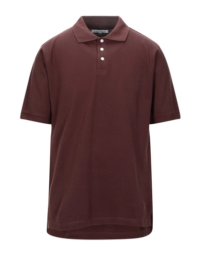 Shop Hardy Crobb's Man Polo Shirt Dark Brown Size Xl Cotton