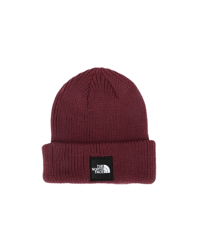 Shop The North Face Hats In Deep Purple