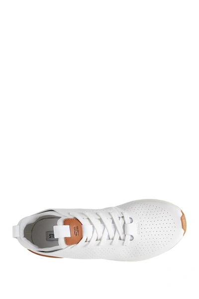 Shop Steve Madden P-brixx Sport Sneaker In White
