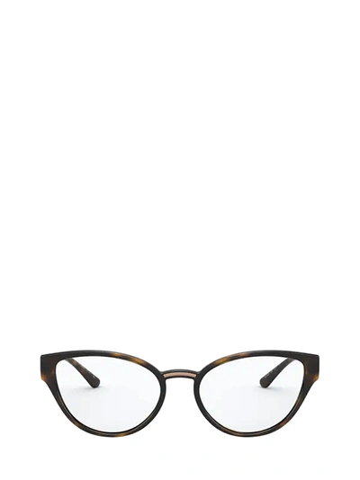 Shop Dolce & Gabbana Dolce &amp; Gabbana Dg5055 Havana Glasses