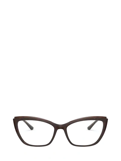 Shop Dolce & Gabbana Dolce &amp; Gabbana Dg5054 Havana On Transparent Brown Glasses