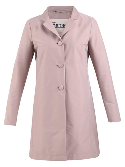 Shop Herno Single-breasted Coat In Pink