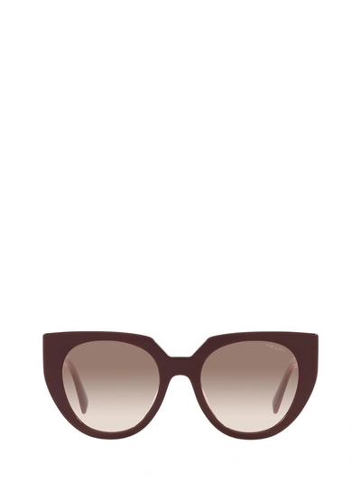 Shop Prada Pr 14ws Garnet Sunglasses
