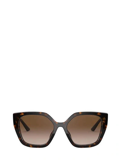 Shop Prada Pr 24xs Havana Sunglasses