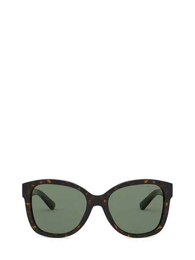 Shop Ralph Lauren Rl8180 Shiny Dark Havana Sunglasses