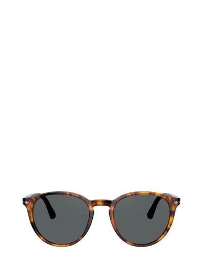 Shop Persol Po3152s Dark Havana Sunglasses