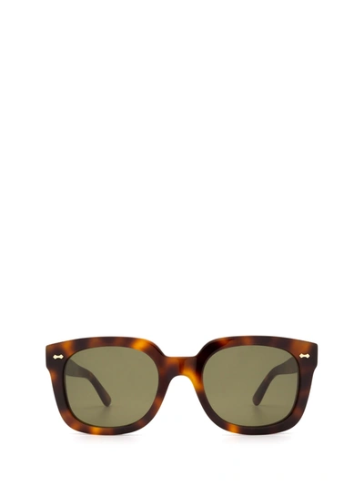 Shop Gucci Gg0912s Havana Sunglasses