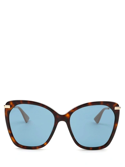Shop Gucci Gg0510s Havana Sunglasses