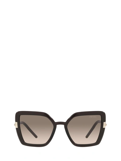 Shop Prada Pr 09ws Crystal Dark Brown Sunglasses