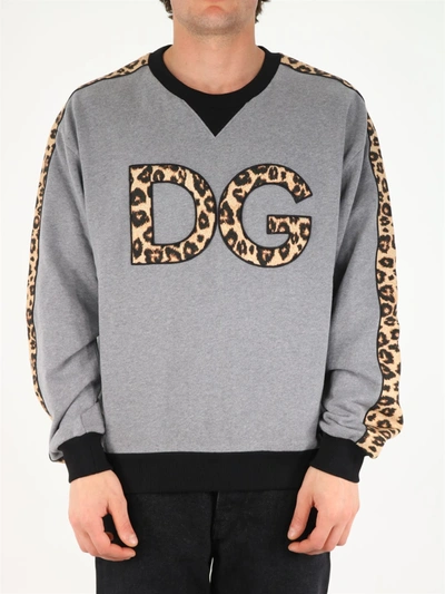 Shop Dolce & Gabbana Dg Animalier Print Sweatshirt In Grigio