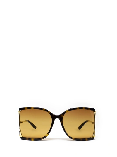 Shop Gucci Gg0592s Havana Sunglasses