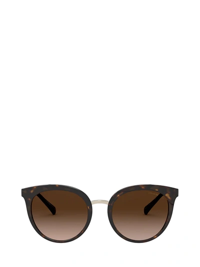 Shop Emporio Armani Ea4145 Shiny Havana Sunglasses