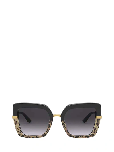 Shop Dolce & Gabbana Dolce &amp; Gabbana Dg4373 Top Black On Print Leo / Black Sunglasses