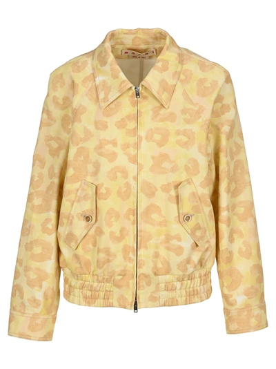 Shop Marni Leopard Print Jacket In Light Camel Rose