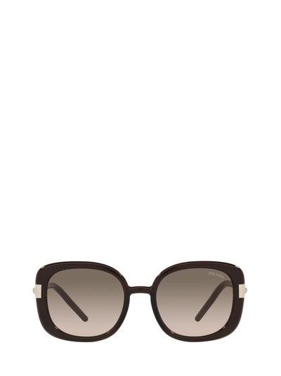 Shop Prada Pr 04ws Dark Brown Crystal Sunglasses