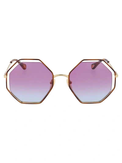 Shop Chloé Ch0046s Sunglasses In 006 Havana Gold Violet