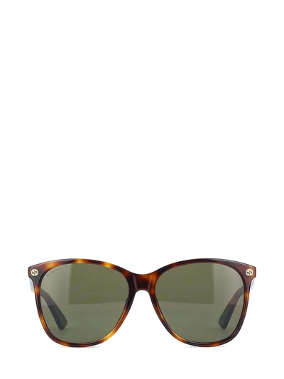 Shop Gucci Gg0024s Havana Sunglasses