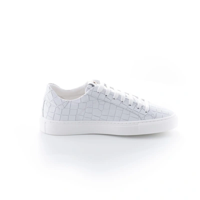 Shop Hide & Jack Essence Total Leather Croco Printed White, White Sole