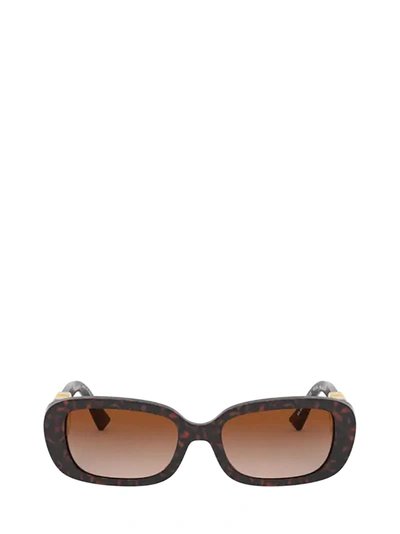 Shop Valentino Va4067 Havana Sunglasses