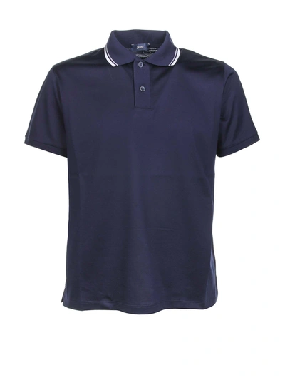 Shop Herno Blue Polo Shirt