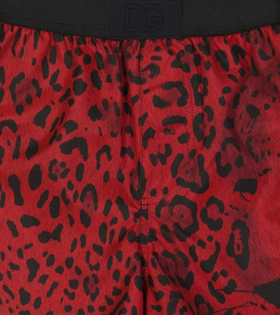 Shop Dolce & Gabbana Leopard Printed Swim Shorts In Leo Nero F.rosso