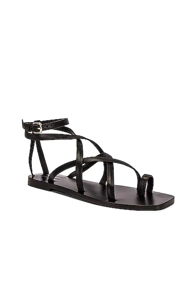 Shop A.emery X Matteau Kea Sandal In Black