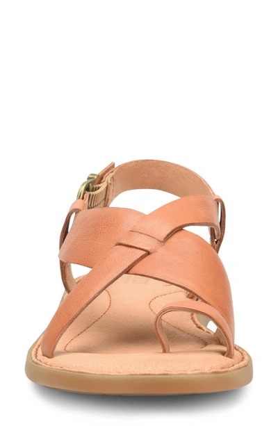 Shop Born Inya Crossover Sandal In Tan Leather