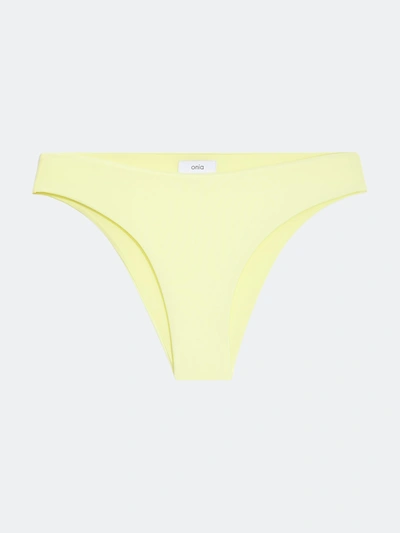 Shop Onia Daisy Tricot Bikini Bottom In Yellow