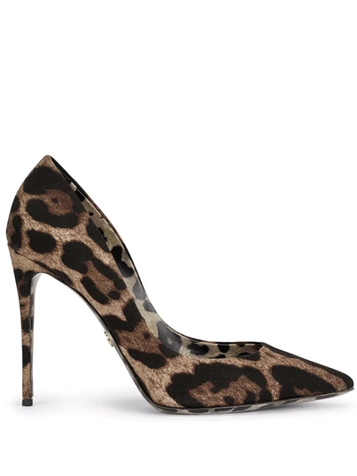 Shop Dolce & Gabbana Leopard-print Stiletto Pumps In Brown