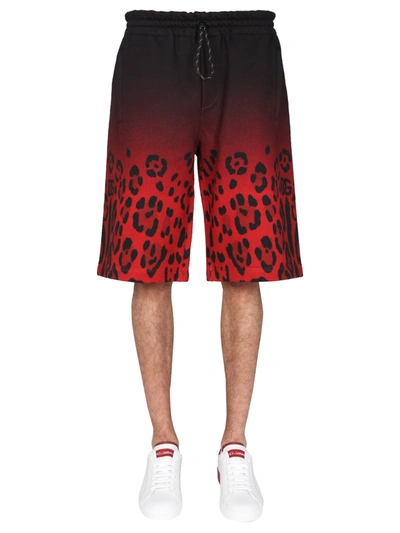 Shop Dolce & Gabbana Jogging Bermuda With Leopard Print In Animalier