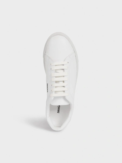Shop Pangaia Grape Sneakers — White Eu41 In Off-white