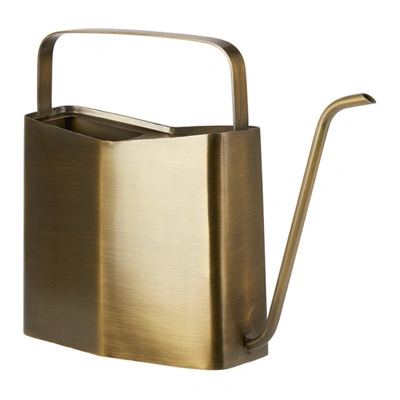 Shop Modern Sprout Brass Watering Can