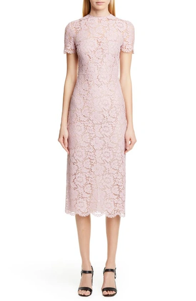 Shop Valentino Lace Midi Sheath Dress In C57-pink