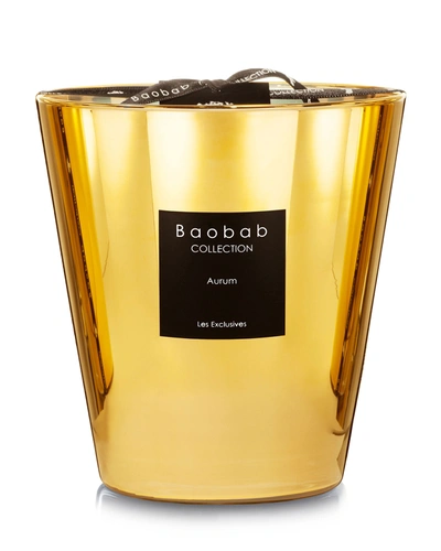 Shop Baobab Collection Aurum Scented Candle, 6.3"