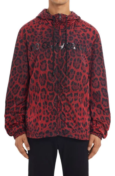Shop Dolce & Gabbana Logo Leopard Print Nylon Jacket In Hr13n Leo Nero F.rosso