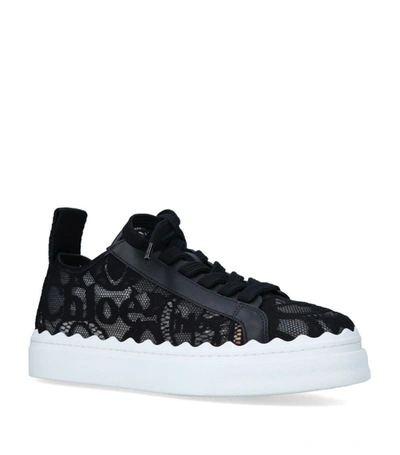 Shop Chloé Lace Lauren Sneakers In Black