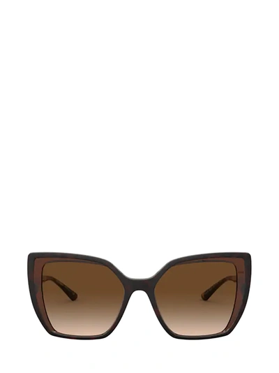 Shop Dolce & Gabbana Dolce &amp; Gabbana Dg6138 Havana On Transparent Brown Sunglasses