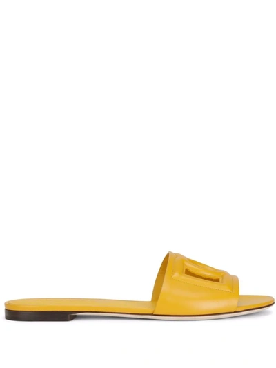 Shop Dolce & Gabbana Dg-logo Leather Sandals In Gelb