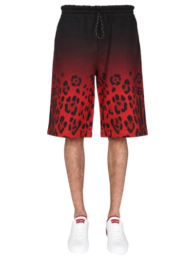 Shop Dolce & Gabbana Jogging Bermuda With Leopard Print In Animalier