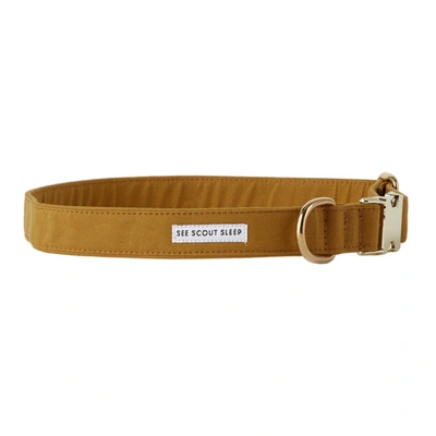 Shop See Scout Sleep Yellow The Scot Large Standard Dog Collar In Mustard