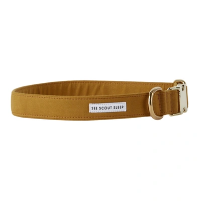 Shop See Scout Sleep Yellow The Scot Extra Large Standard Dog Collar In Mustard