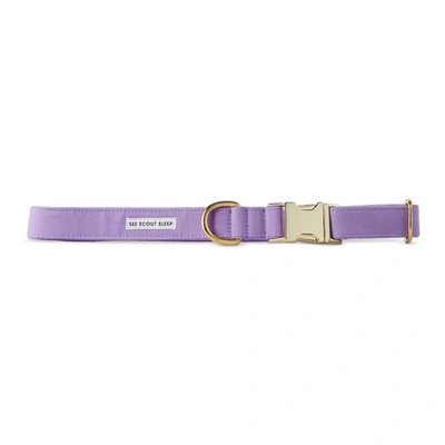 Shop See Scout Sleep Purple The Scot Extra Large Standard Dog Collar In Lilac