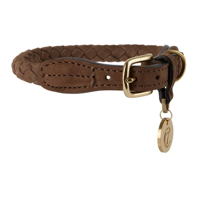 Shop Cloud7 Brown Small Ravello Collar In Hazel