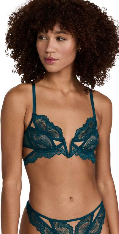 Shop Thistle And Spire Kane Bra Chameleon