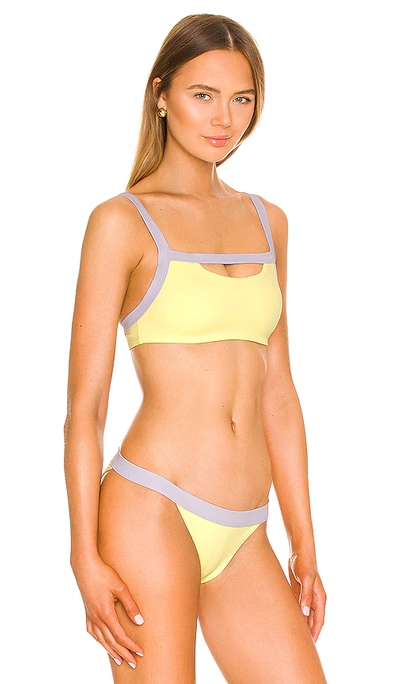 Shop Onia Lina Bikini Top In Lemon Lime & Lavender