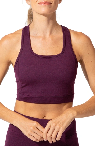 Shop Threads 4 Thought Lunette Sports Bra In Heather Amaranth