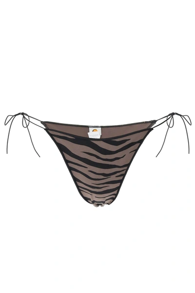 Shop Tropic Of C The C Bikini Bottom In Zebra Driftwood (brown)